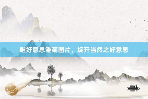唯好意思雏菊图片，绽开当然之好意思