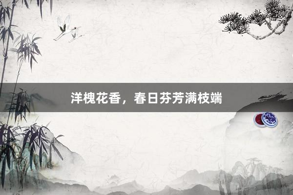 洋槐花香，春日芬芳满枝端